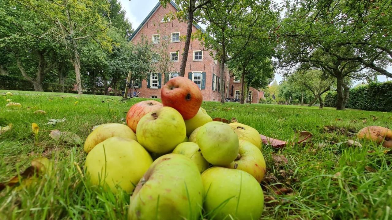 Gulfhof Boomgaarden Boomgaarden 16 Albert Krummhörn Zewnętrze zdjęcie
